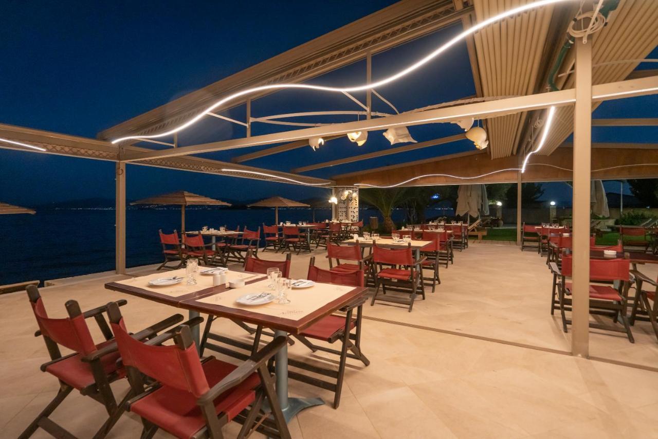 Avantis 4* Эретрия