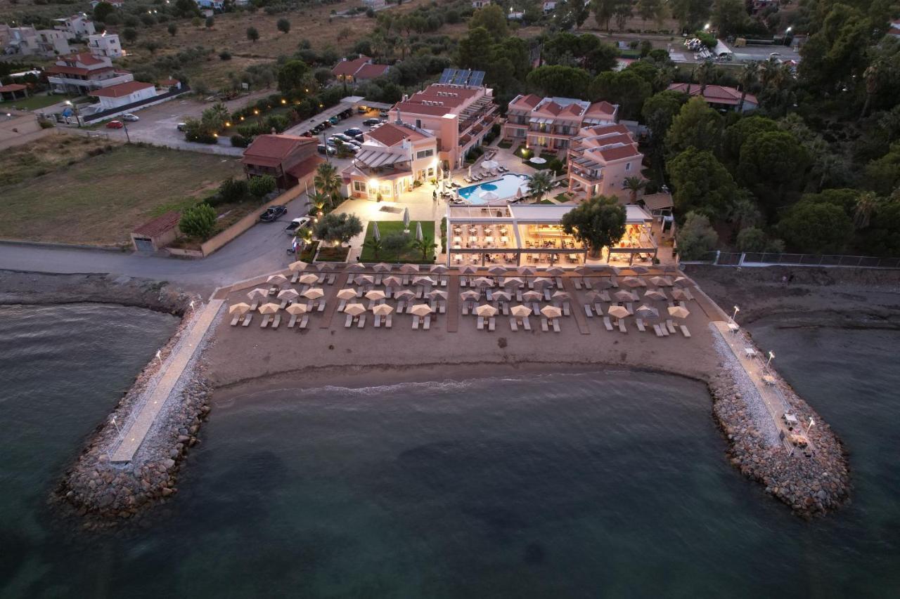Avantis 4*